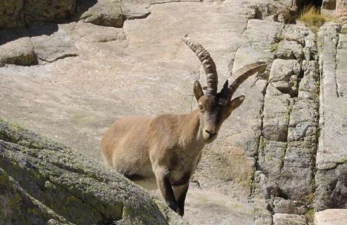 ALCALA DEL JUCAR, Casa rural Rio Tranquilo 1 -Piscina privada- - Foto 71