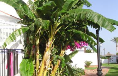 Casa de la Playa - Photo 7