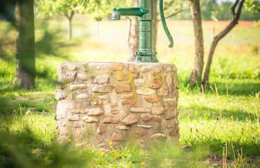 Pfeiffer´s Ferienwohnung - Foto 21