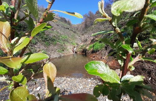 O Busto Aldea Rural - Foto 57