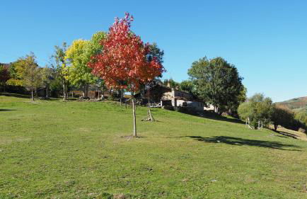 Casa Rincon Pasiego - Foto 35