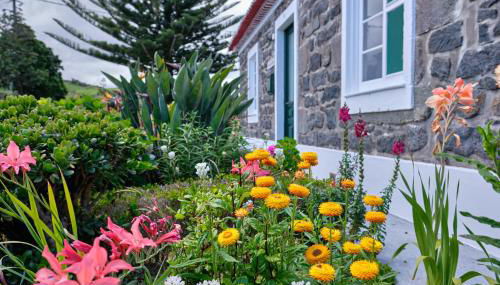 Casa D'Eira - Photo 2