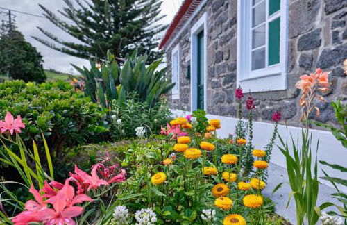 Casa D'Eira - Photo 2