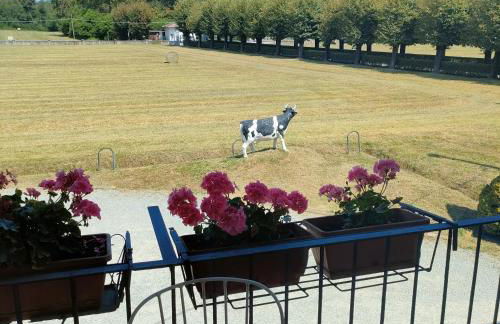 Azienda Agricola La Botanica - Photo 40