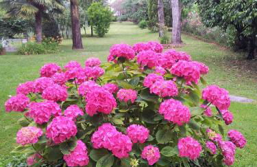 Attico con terrazza Villa Marianna - Foto 24