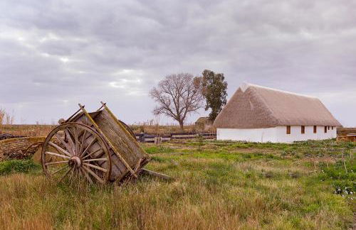 Salicornia apartament - Foto 20