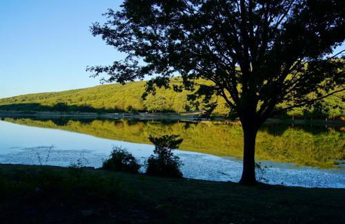 Etna Paradise locazioni brevi - Foto 78