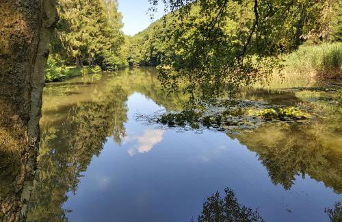 Charmanter Fachwerktraum an der Stadtmauer - Foto 58