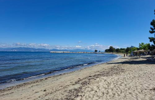 Studio Lazaridi - Photo 19