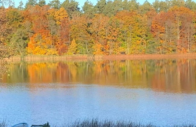 Ronneby Torneryd Retreat - Foto 46