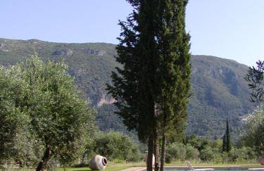 Villa Lithia - Foto 56