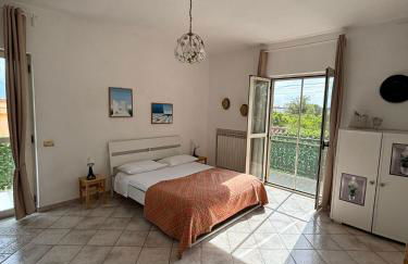 Vesuvius garden - Photo 16