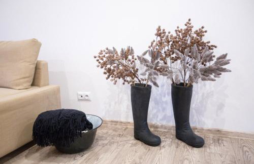 Apartamenty Stacja Kasina - Foto 41