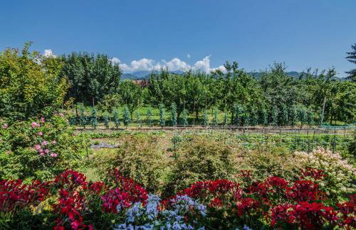 Agriturismo Chioi - Foto 25