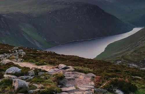Loughview House overlooking Carlingford lough - Photo 30