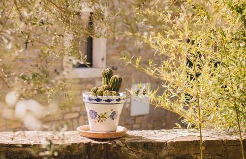 Dreamhill Meloni - Foto 64