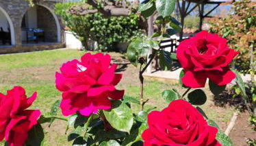 Villa Blue Flag - Foto 4