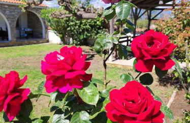 Villa Blue Flag - Foto 4