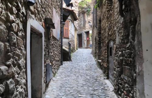 Casa Reanna - Photo 23