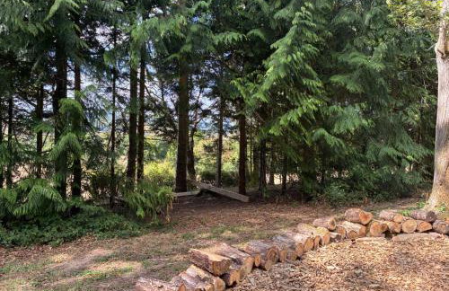 2 Guests - Pet Friendly - Traditional Gypsy Vardo - Foto 27