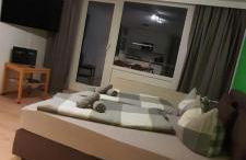 Bayerwald Appartement - Foto 1