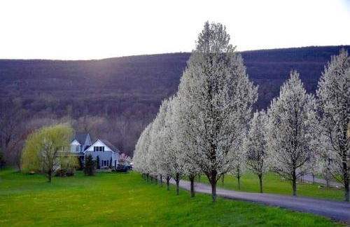 Malkita Aria Mountainview Retreat - Foto 6