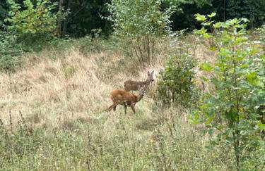 Pod Piekiełkiem - Foto 12