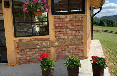 Agroturystyka Wudarsówka - Foto 53