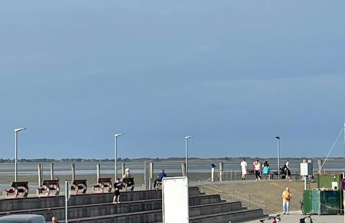 Seemöwe am Naturstrand - Foto 40