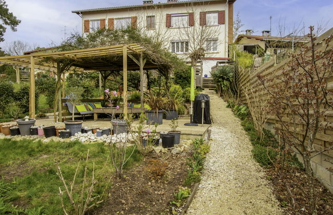 Dans la forêt de Pin - Foto 18