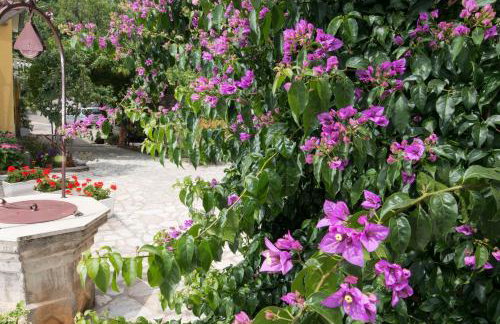 Apartment Alba - Photo 46