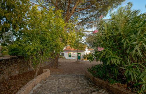 Casa do Vale - Foto 49