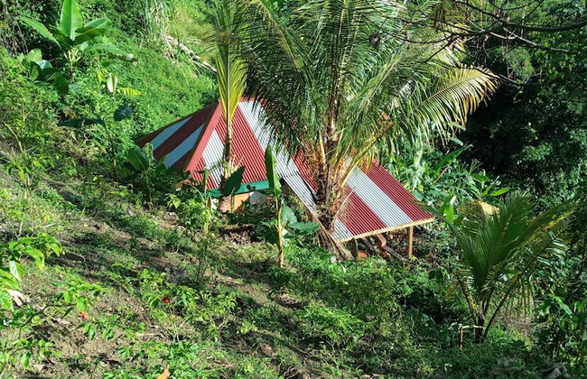 Berkey's Jungle Paradise - Photo 54