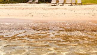 4Elies apartments - Foto 5