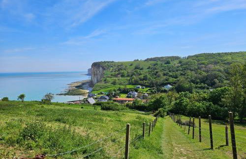 Coqslitscaux - Foto 68