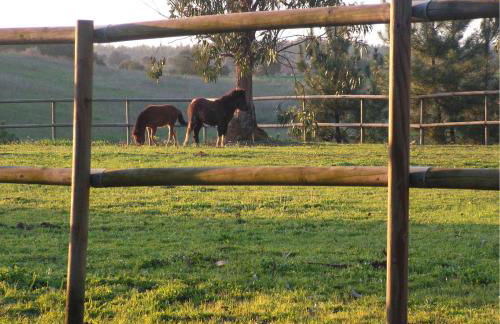 Herdade da Hera - Foto 37