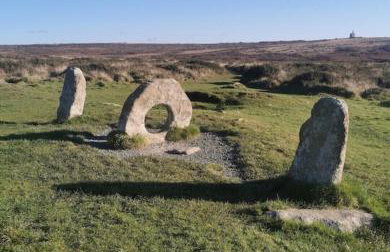 The Flower House - Photo 18