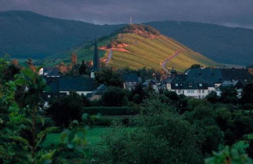 Wine Country Apartment - Foto 40