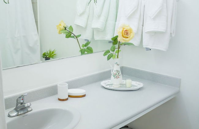 Kingston Luxury Condo Apartment - Foto 14