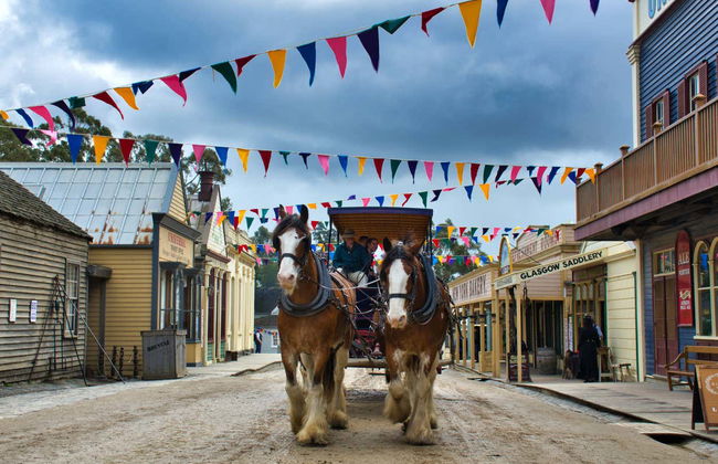 Melbourne Skydeck, Sovereign Hill y Jardín Botánico de Ballarat - Foto 11