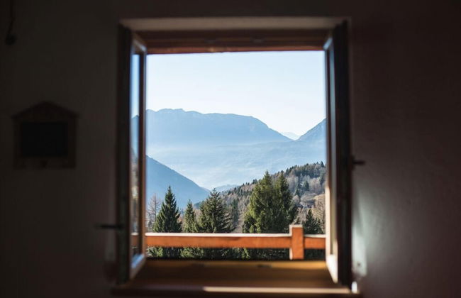 Maso Del Fieno - Photo 37