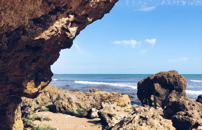 Quinta Pedra dos Bicos - Foto 33