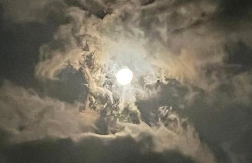 Kingwood Cottage - 10 mins from IAH - Lake Front - Foto 35