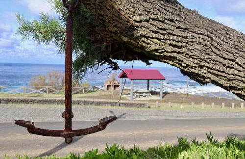 Sea Roots "Sea Zone" - Foto 37