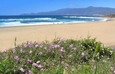 Agriturismo Le Mimose - Foto 11