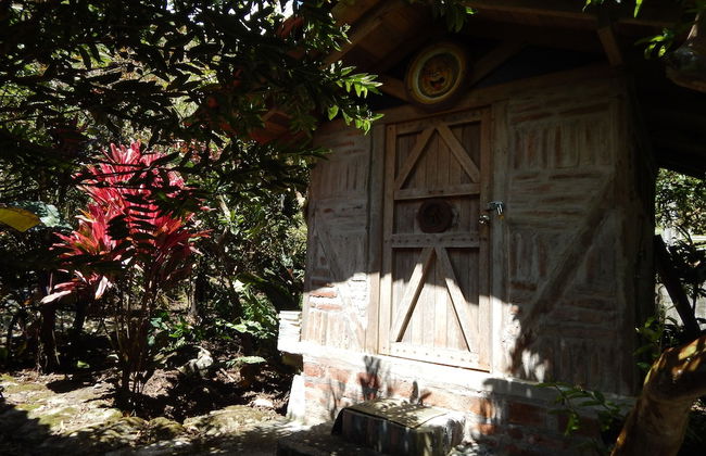 Dogs and Fish Dream Land - Foto 31