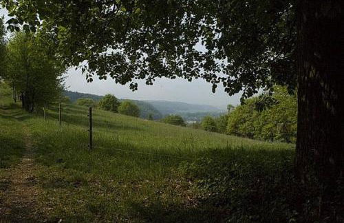 Ferienwohnung Brüssing - Foto 24