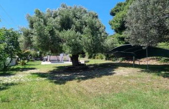 Seaside apt with swimming pool & parking #1 - Foto 24