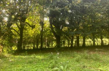 Manoir des Pavements - Photo 18