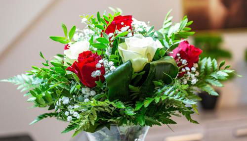 Tapas Restaurante 2 - Foto 3